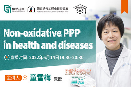 Non-oxidative PPP in health and diseases