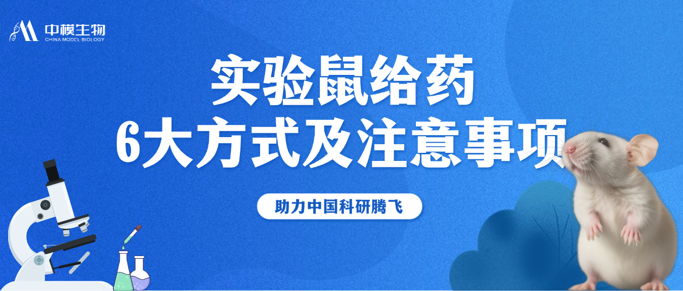 实验鼠给药不当或成“致命伤”！常见6大给药方式细节需记牢