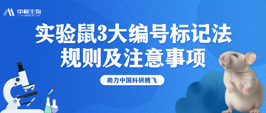 3大标记方法，快速区分样本小鼠！