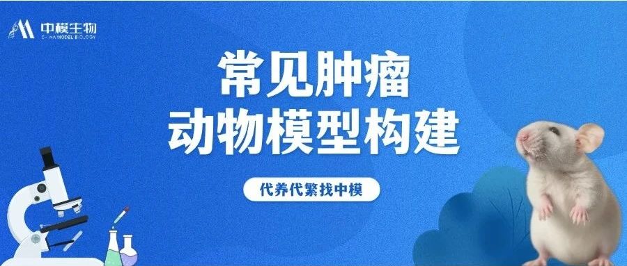 一文详解 | 常见肿瘤动物模型构建与优劣对比