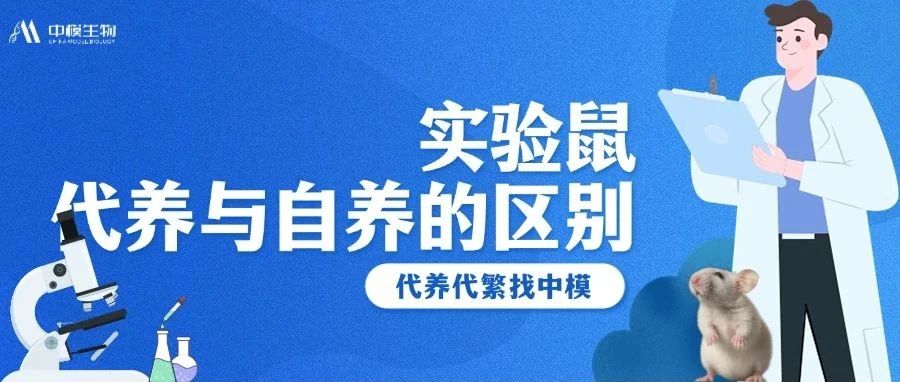 养实验鼠这件“苦差事”如何变得更省心？7条理由给你答案